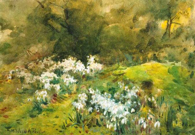 Snow Drops 